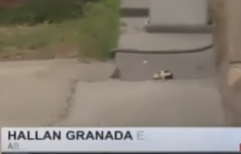 Sin título